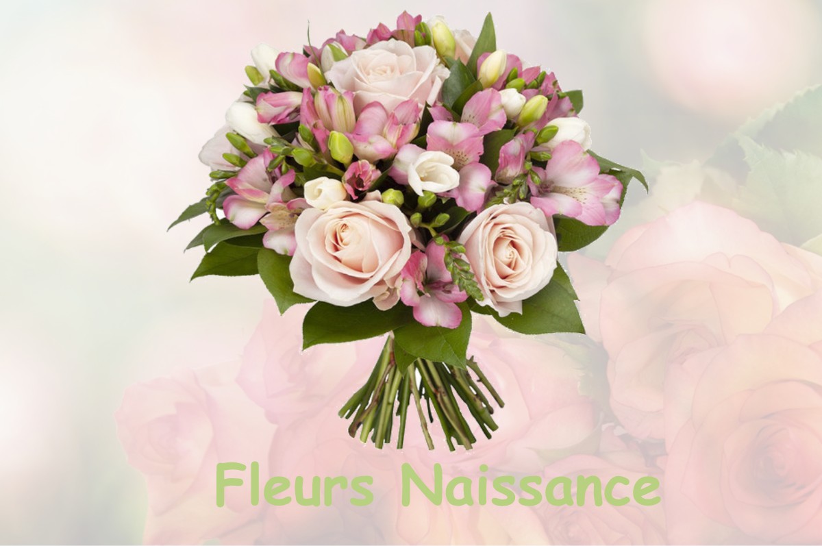 fleurs naissance FONTAINE-FRANCAISE